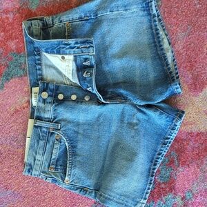 Agolde Parker Long Shorts